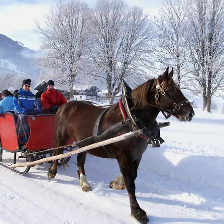 Kroell - Inkl Nationalpark-karte, 1 X Grossglockner Hochalpenstrasse Kostenlos, Verschiedene Bergbahnen Kostenlos, Badesee Kostenlos, Bus & Kostenlos, Regionale Kueche 3* Niedernsill