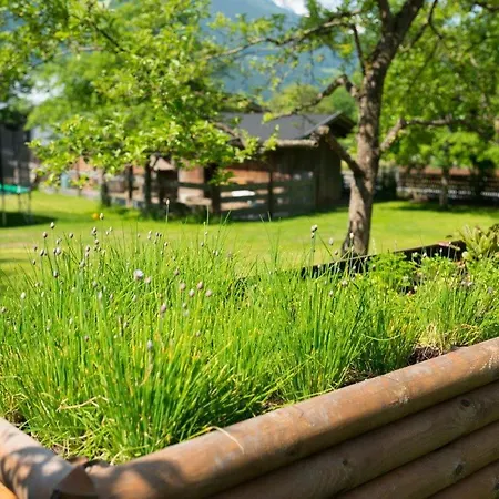 Hotel Kröll Nationalpark-card, Bergbahnen, Großglockner, Restaurant Mit Regionaler Küche Niedernsill