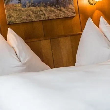 Kroell, 4 Skigebiete In Unmittelbarer Naehe, Restaurant Mit Regionaler Kueche Niedernsill